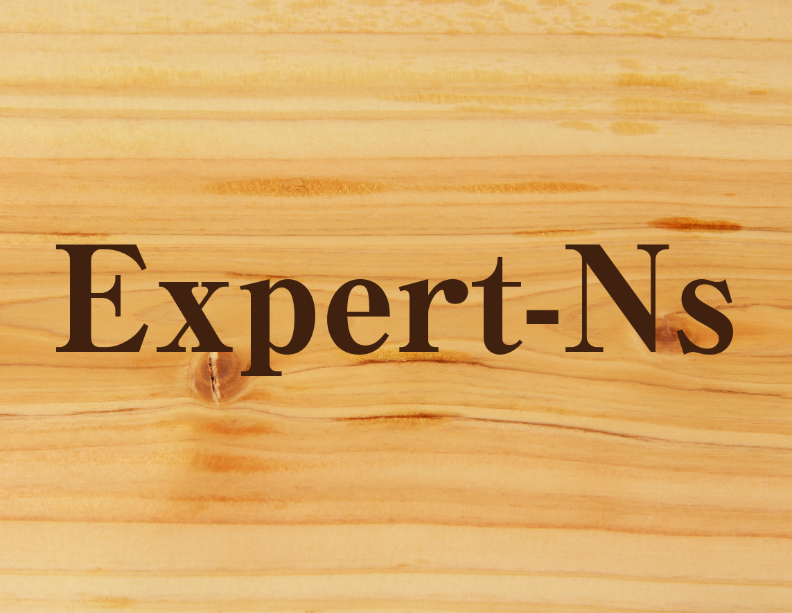 Expert-Ns